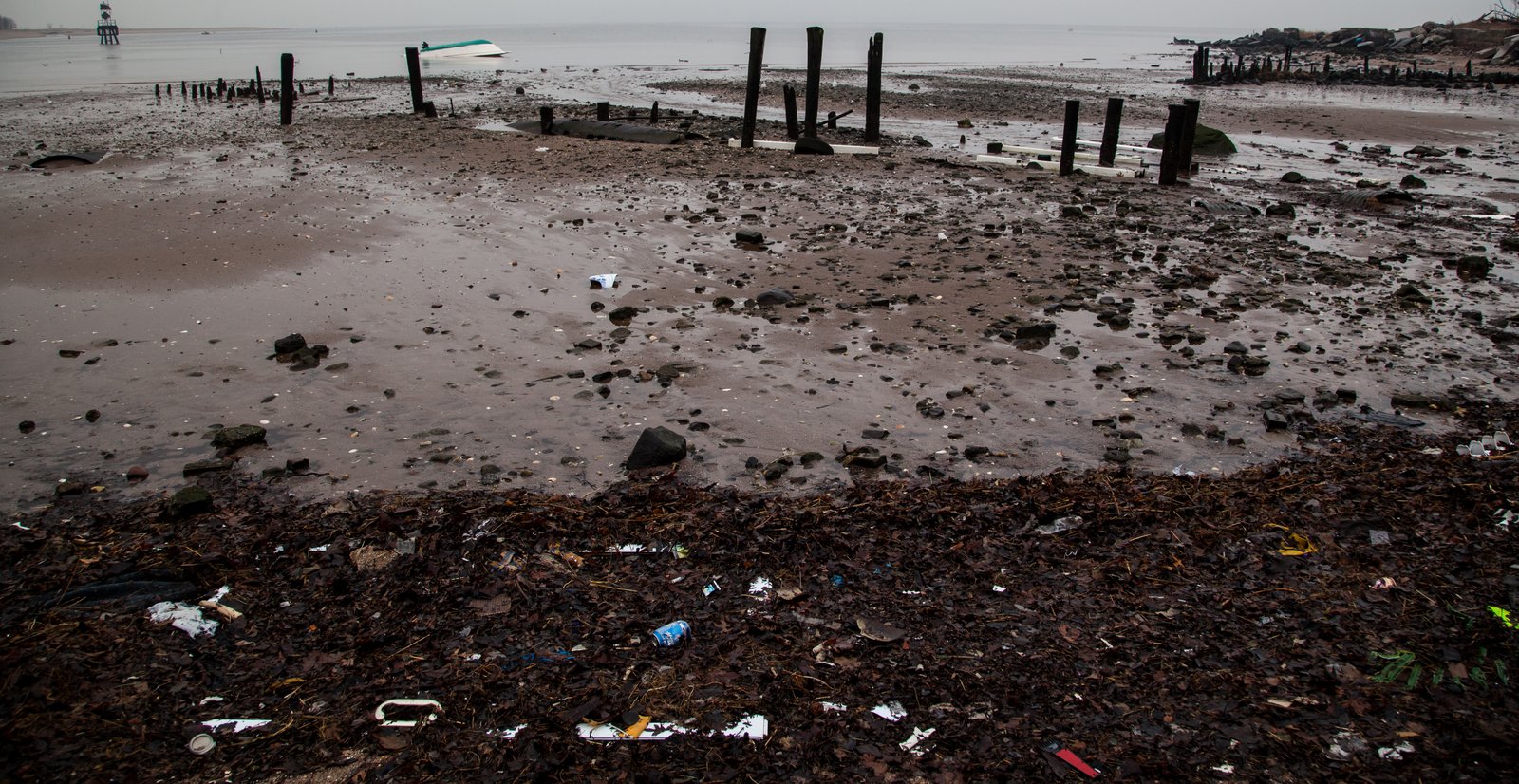 art-of-sandy-mo-staten island 2-80.jpg